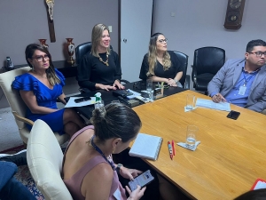 Projetos da gestão são acompanhados em reunião preparatória do Caplag