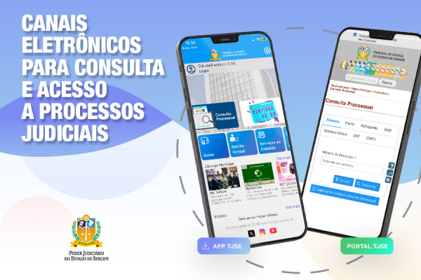 Canais eletr&ocirc;nicos para consulta e acesso a processos judiciais