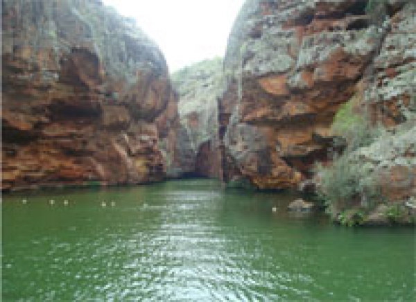 Propa - primeiro grupo participará de vivência em Xingó