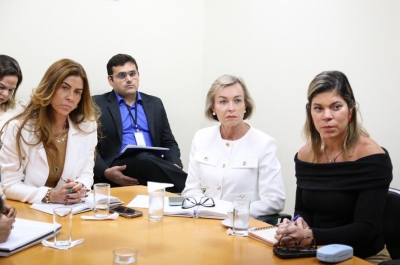 Comitê Estadual de Saúde discute demandas judicializadas com Estado e Município de Aracaju